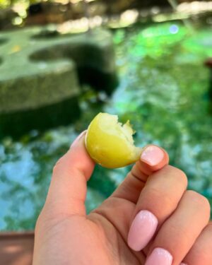 Oka Giner Instagram - Un día de spa en @wpuntademita y se te reinicia la vida. Te lo juro 🩷#wpuntademita #wunlimited