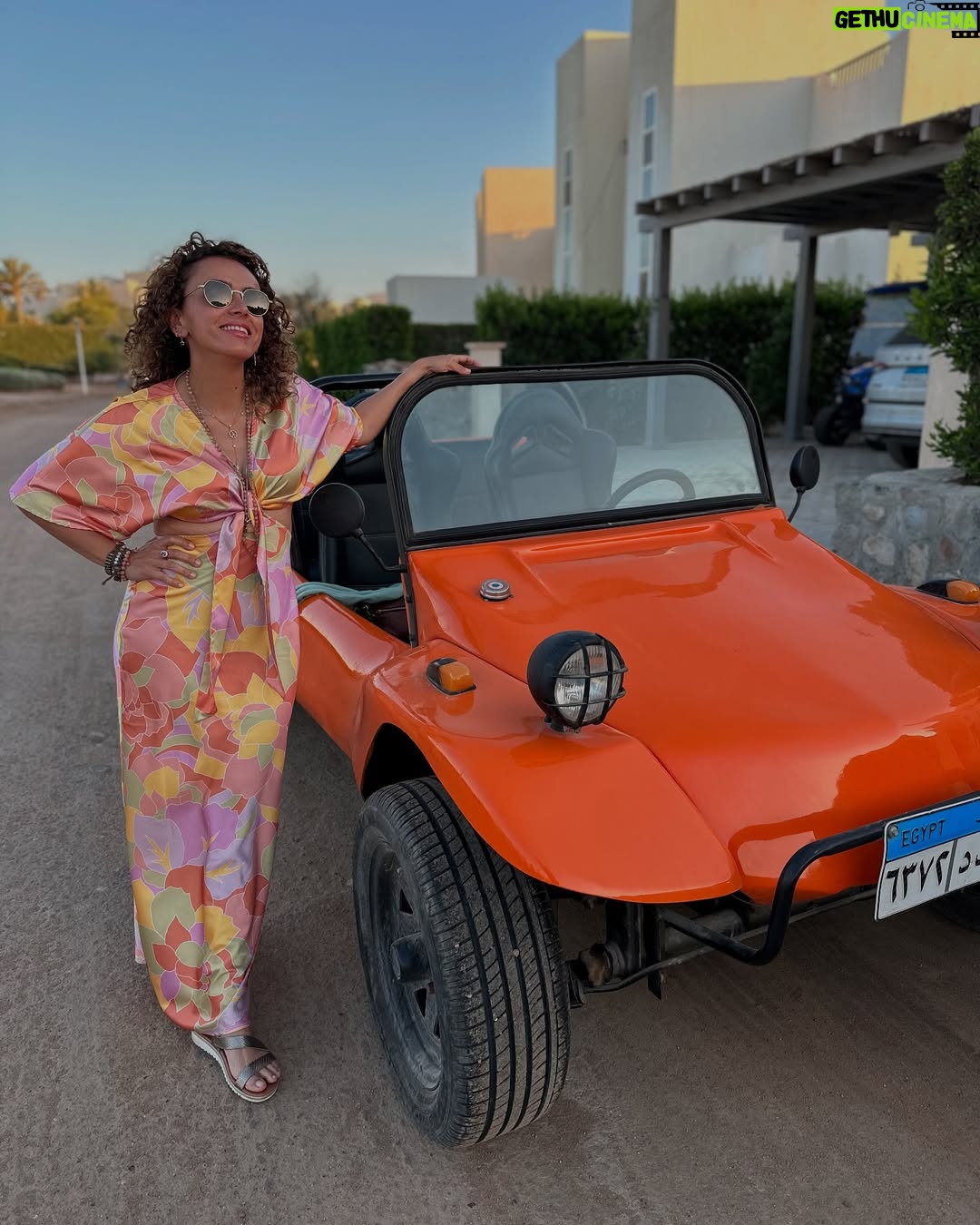 Ola Roshdy - 3 Likes - 🧡☀️🐣
