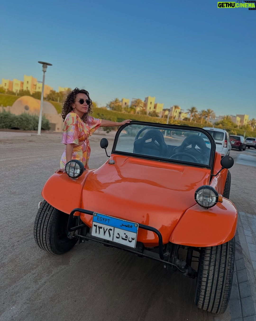 Ola Roshdy - 3 Likes - 🧡☀️🐣