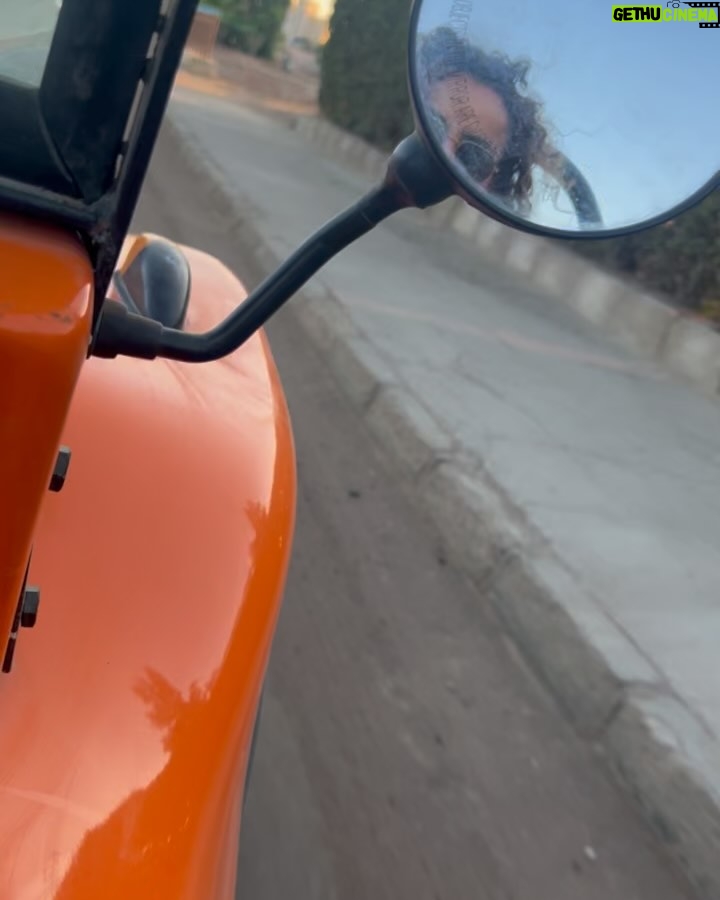 Ola Roshdy - 3 Likes - 🧡☀️🐣