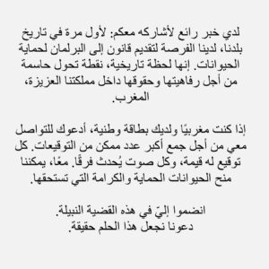 Ouidad Elma Instagram - Historical 🇲🇦🐾🐈‍⬛🐕🐱🐈🫂 
In Dog&Cat WE TRUST.
