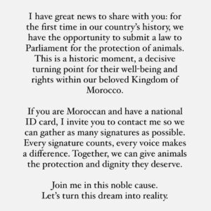Ouidad Elma Instagram - Historical 🇲🇦🐾🐈‍⬛🐕🐱🐈🫂 
In Dog&Cat WE TRUST.