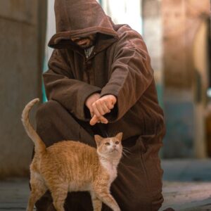 Ouidad Elma Instagram - Sacred creatures sacred creatures sacred ♾️ 
🤍During Ramadan, we are reminded to show extra compassion to all living things. 🩷
Precious moments such as these remind us to reflect and give, especially during the holy month. 💕🩷🐾

But these good habits of respecting and caring for animals should continue throughout our lives. It is the foundation of harmony. And our duty as human beings. 

Help a stray cat or dog today 🥰 🐱🐶