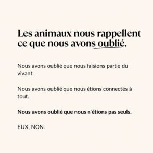 Ouidad Elma Instagram - Sacred creatures sacred creatures sacred ♾️ 
🤍During Ramadan, we are reminded to show extra compassion to all living things. 🩷
Precious moments such as these remind us to reflect and give, especially during the holy month. 💕🩷🐾

But these good habits of respecting and caring for animals should continue throughout our lives. It is the foundation of harmony. And our duty as human beings. 

Help a stray cat or dog today 🥰 🐱🐶