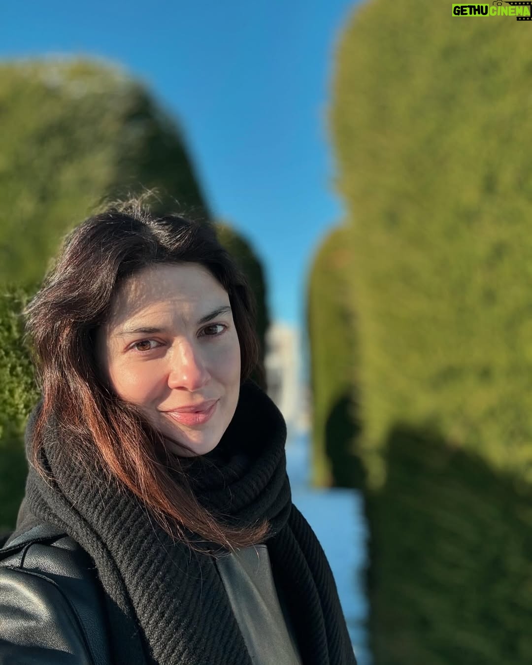 Paloma Moreno - 9.6K Likes - La Gira. Los amigos. La nieve