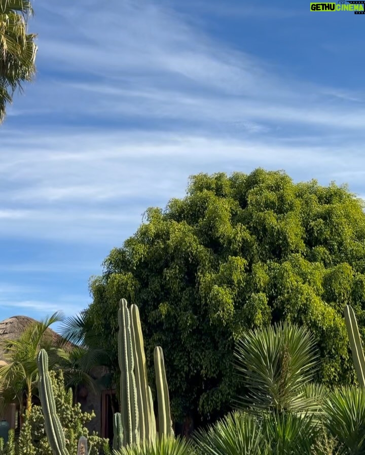 Paloma Moreno - 4.3K Likes - Vacaciones de 🌵🍸❤️💆🏻♀️✨🐴🥰🌳