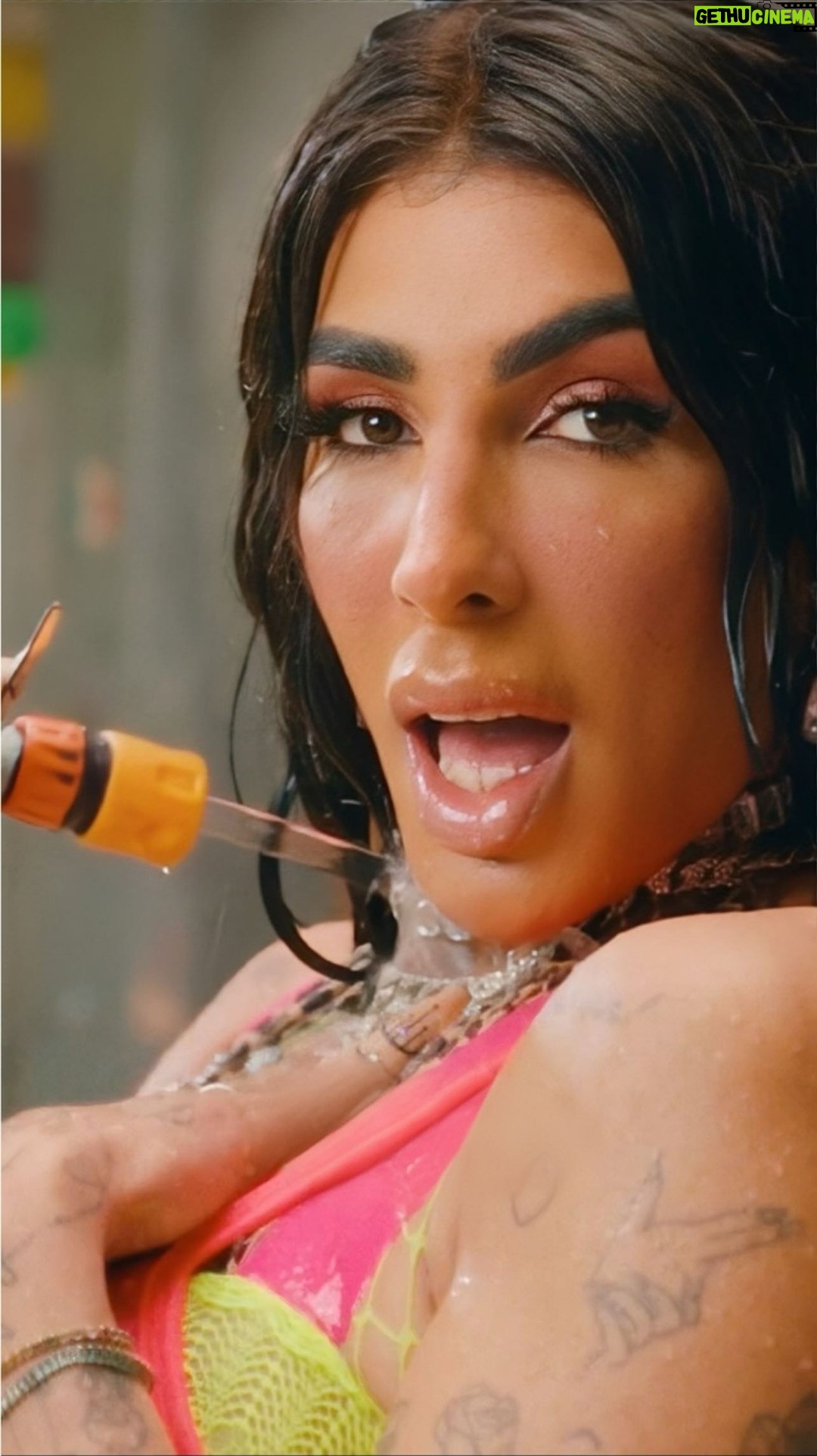 Pepita - 5.9K Likes - Relembrando quando fui no estúdio gravar o meme que virou um funkzão gostoso. Quem aí já ouviu Aquecimento da Pepita? 

@kondzilla @hervolution