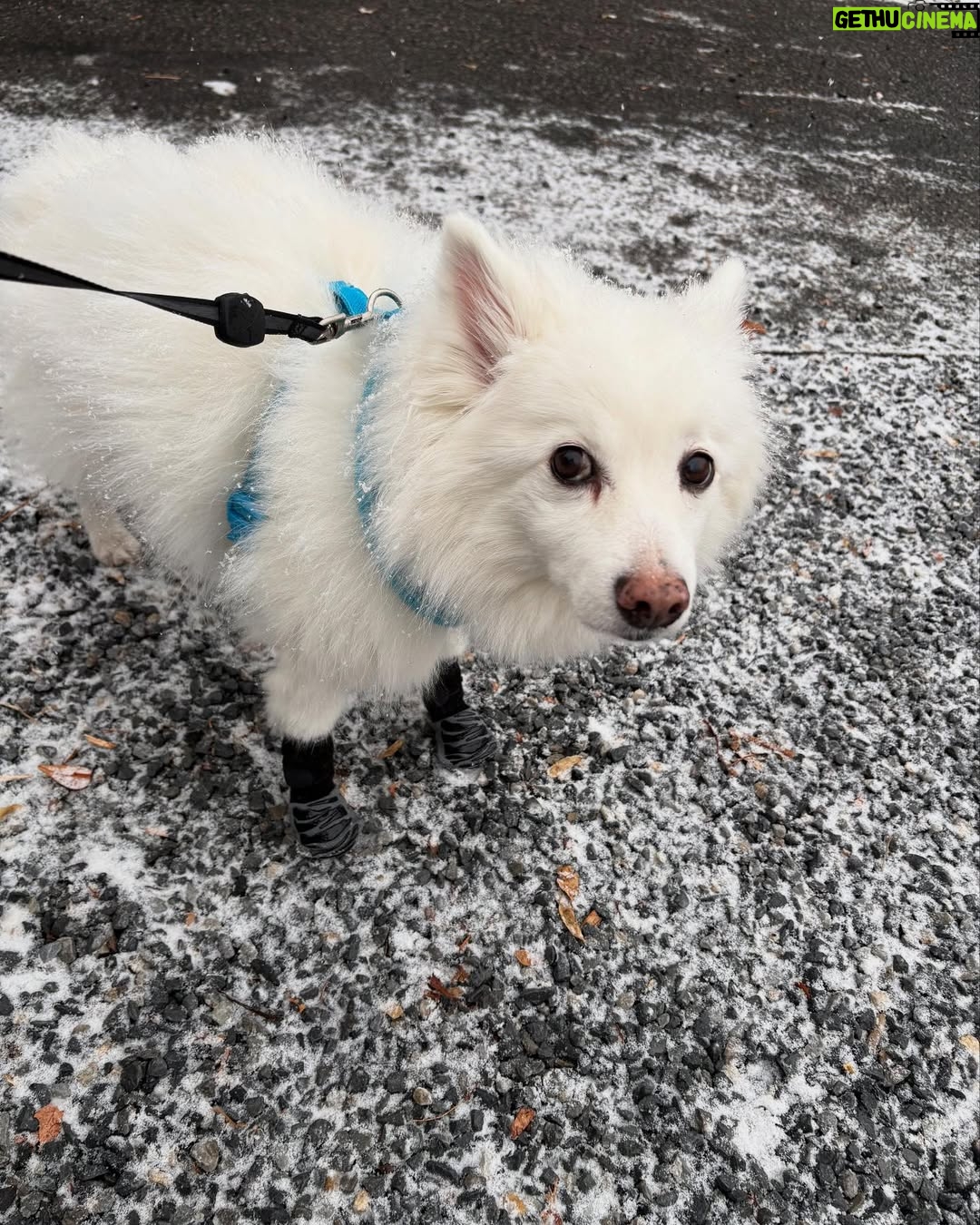 QTCinderella - 29.9K Likes - Take these 📸🐾🐈🌷❄️