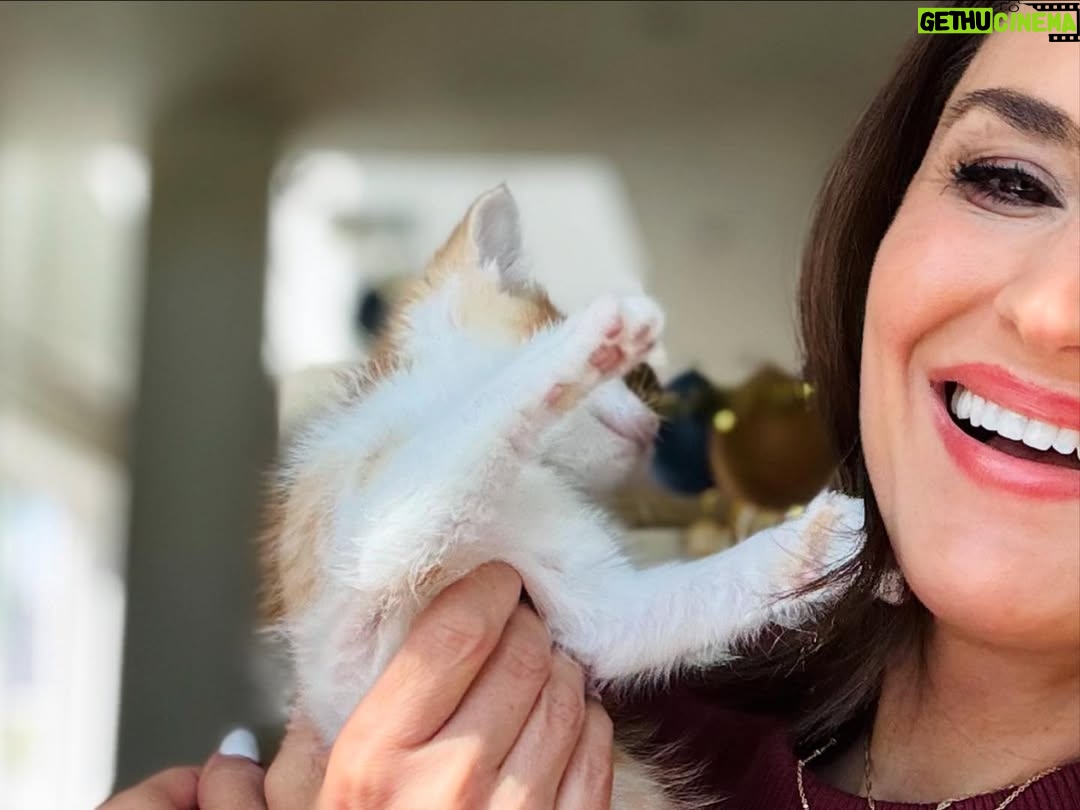 Rachael Leigh Cook - 16.2K Likes - Ollie says we got the shot 🤣🩸😻