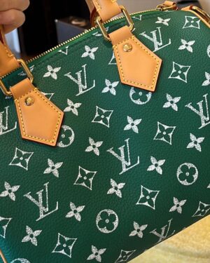 Raisa Andriana Instagram - A very very Vuitton trip 🇫🇷