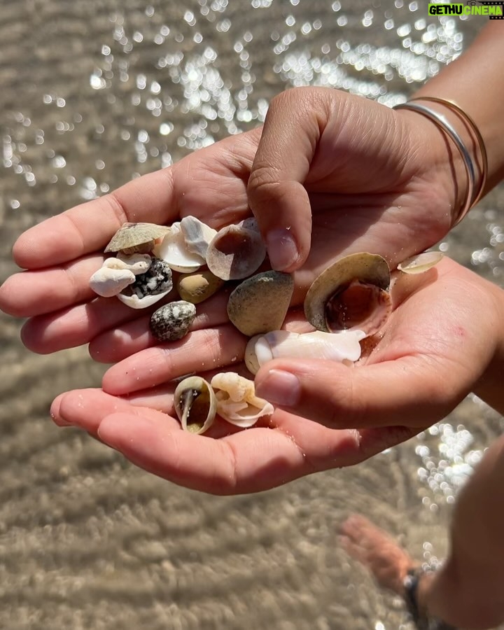 Rakeen Saad - 48.5K Likes - 🌻🌞🐚🌊🤍🕊️