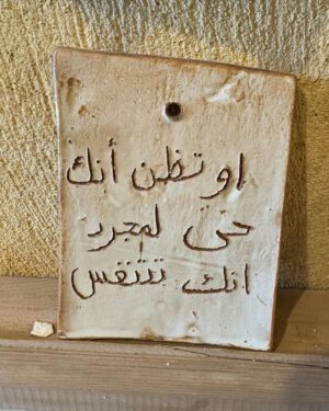 Rakeen Saad Instagram - الفيوم 🤍🌻🕊️🌴