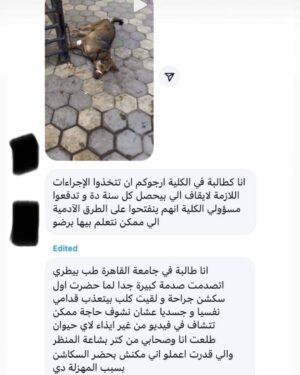 Rania Farid Shawki Instagram - اتعدمت الانسانية انتم إزاي فاكرين نفسكم بني أدمين و انت بتعذب حيوان و الحجه انه لتعليم الطلاب طب بذمتك الطالب ده نفسه هيبقي رحيم إزاي بالحيوان اللي حضرتك عمله فار تجارب و بتعذبه بأسم العلم حسبنا الله ونعم الوكيل ايه يا بلد مافيش رقابه مافيش تجريم مافيش تحقيق يبقي جرايم القتل اللي بتزيد كل يوم بين البشر مش غريبه مدام انتم بتعلموهم ازاي يعذبوا حيوان آمال فين شيعار الرفق بالحيوان ربنا يعذبكم في الدنيا و الاخرة يارب ارجو من اي مسئول وقفه مع الانسانية و الدين اذا اتعدمت الرحمة مع الحيوان تأكد ان اي روح يبقي مباح تعذبها يعني متستغربش من جرايم القتل البشعة عمرها ما كانت بتحصل في مصر الرحمه لا تجزاء يعني مش مخصصه للانسان فقط و حتي دلوقتي مابقاش في رحمه بين البشر مبالك بقي بالمخلوقات الضعيفه اللهم انت المنتقم الجبار من من يدعون انهم بشر و لكنهم حجر
#اقالت_عميد_كلية_طب_بيطري_جامعة_القاهرة
@الهيئه العامه للخدمات البيطرية 
@جريدة اليوم السابع
@جريدة الوطن