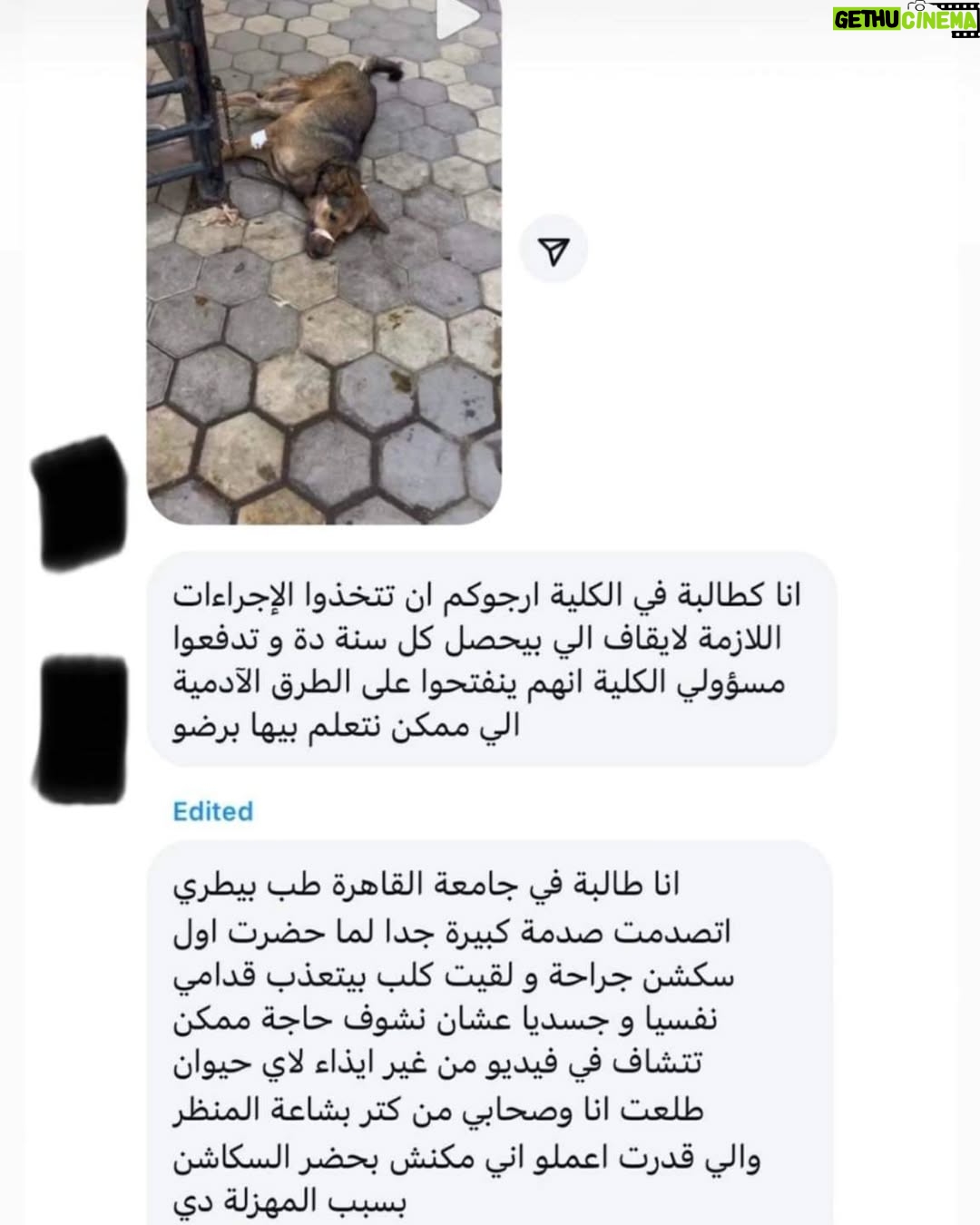 Rania Farid Shawki - 0.9K Likes - اتعدمت الانسانية انتم إزاي فاكرين نفسكم بني أدمين و انت بتعذب حيوان و الحجه انه لتعليم الطلاب طب بذمتك الطالب ده نفسه هيبقي رحيم إزاي بالحيوان اللي حضرتك عمله فار تجارب و بتعذبه بأسم العلم حسبنا الله ونعم الوكيل ايه يا بلد مافيش رقابه مافيش تجريم مافيش تحقيق يبقي جرايم القتل اللي بتزيد كل يوم بين البشر مش غريبه مدام انتم بتعلموهم ازاي يعذبوا حيوان آمال فين شيعار الرفق بالحيوان ربنا يعذبكم في الدنيا و الاخرة يارب ارجو من اي مسئول وقفه مع الانسانية و الدين اذا اتعدمت الرحمة مع الحيوان تأكد ان اي روح يبقي مباح تعذبها يعني متستغربش من جرايم القتل البشعة عمرها ما كانت بتحصل في مصر الرحمه لا تجزاء يعني مش مخصصه للانسان فقط و حتي دلوقتي مابقاش في رحمه بين البشر مبالك بقي بالمخلوقات الضعيفه اللهم انت المنتقم الجبار من من يدعون انهم بشر و لكنهم حجر
#اقالت_عميد_كلية_طب_بيطري_جامعة_القاهرة
@الهيئه العامه للخدمات البيطرية
@جريدة اليوم السابع
@جريدة الوطن