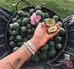 Rhona Mitra Instagram - Pineapple Guava puppy party🍈⚡️🍈

Used to call these dance pellets because they make your bootie wiggle they taste so good... 

 Gracias pequeñas bombas de genialidad
🍈✨🍈