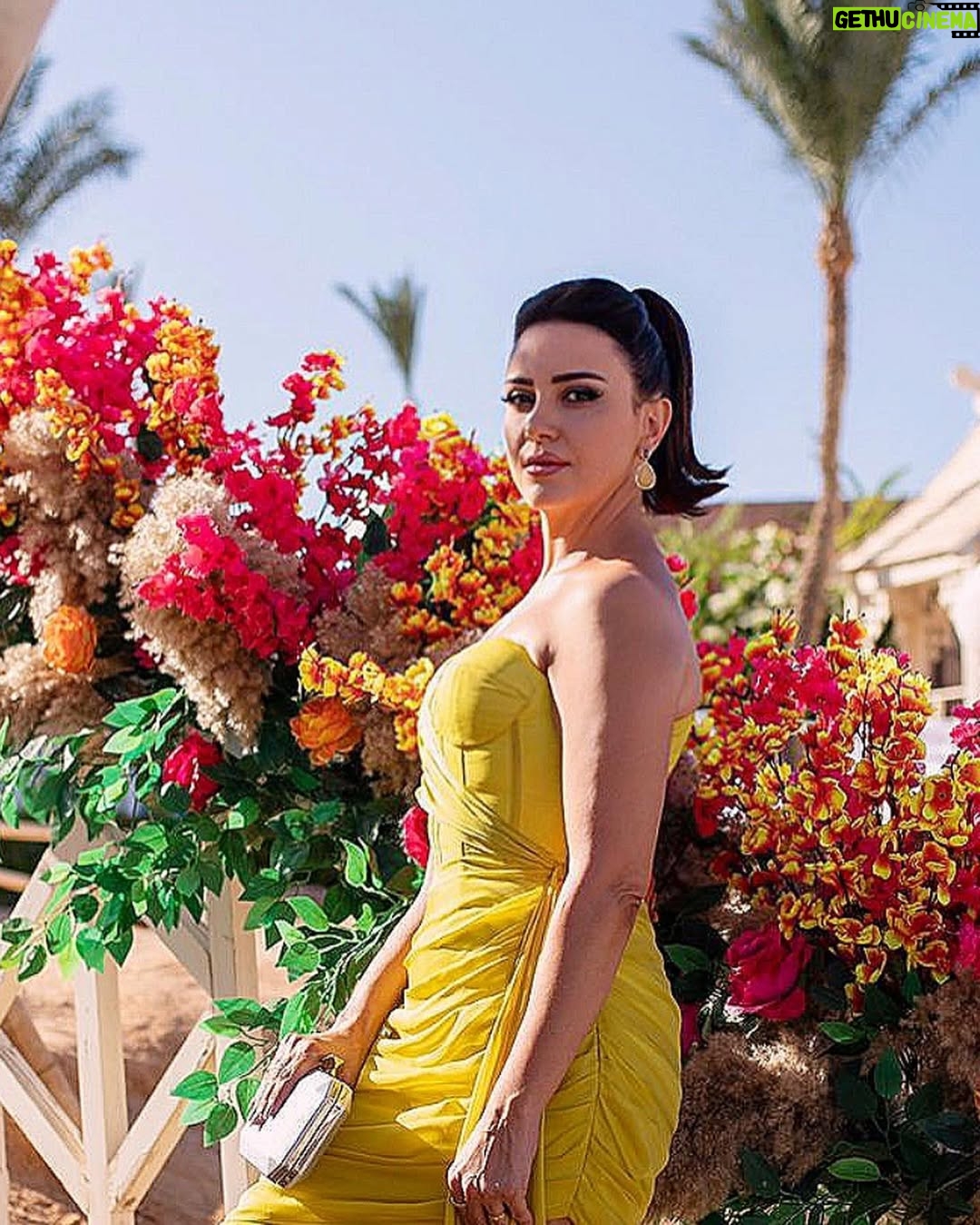 Riham Abdel Ghafour - 26.7K Likes - Everything that is meant for you will find you.
Stylist @saeedramzi
Dress @temraza
Make up @farag_dahy82
Hair dresser @mahmoud_hair_stylist