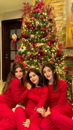 Rita Harb Instagram - ✨Christmas 2024 vibes at home✨
#favoritetimeoftheyear #ritaharb #RH #ريتا_حرب