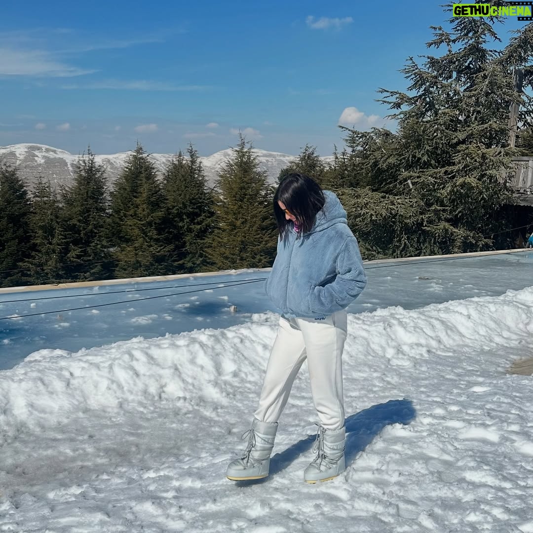 Rita Hayek - 4.7K Likes - لبنان الحلو🇱🇧❄️
#ritahayek #ريتا_حايك #snow #lebanesemountains #faraya #ski #skiinlebanon