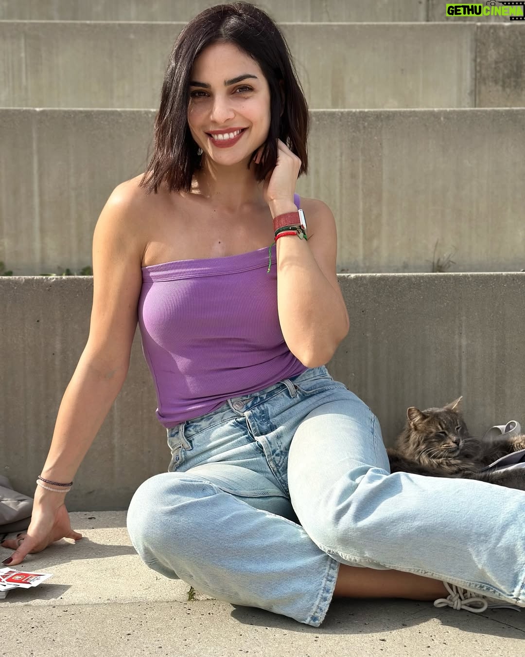 Rita Hayek - 5.8K Likes - ☀️🐈 🌊 💜