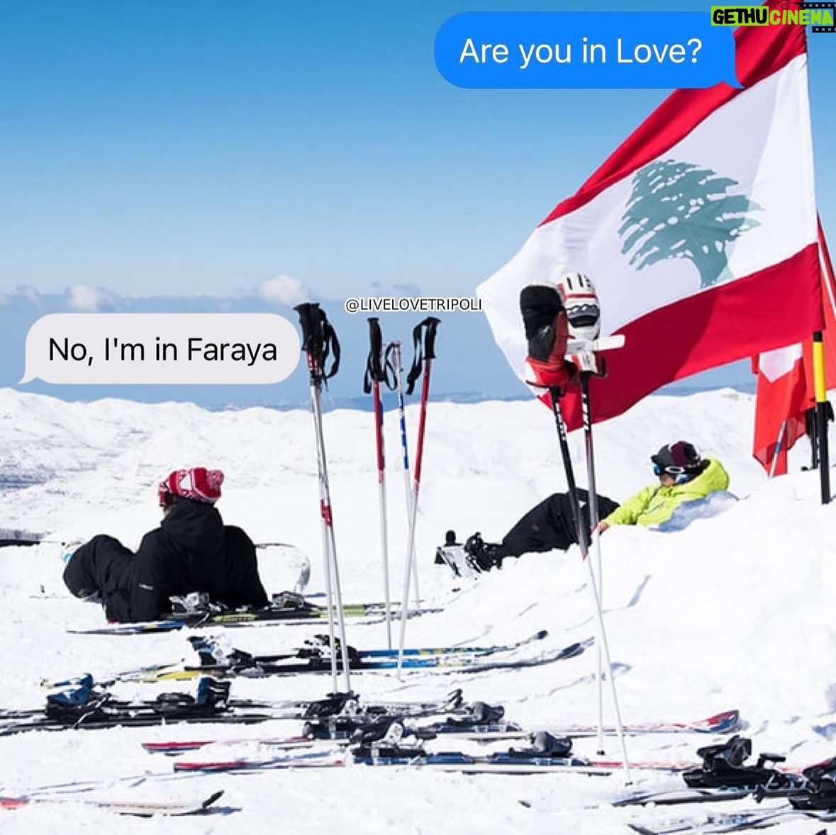 Rita Hayek - 4.7K Likes - لبنان الحلو🇱🇧❄️
#ritahayek #ريتا_حايك #snow #lebanesemountains #faraya #ski #skiinlebanon