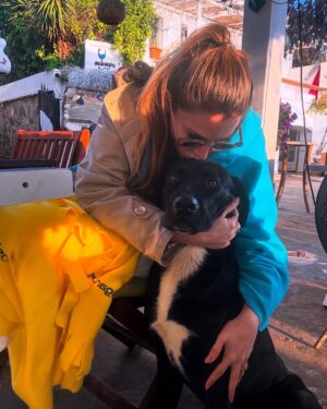 Rojda Demirer Instagram - Ahh o bakışları o kafayı yaslayışı kalbimi bıraktım yine 🥹Gündem yoğun arada kaynamasınlar ltf🙏 bize herzamankinden daha çok ihtiyaçları var 🐕 🐈 
#sokakhayvanlarısahipsizdeğil #yasayıiptaletaym