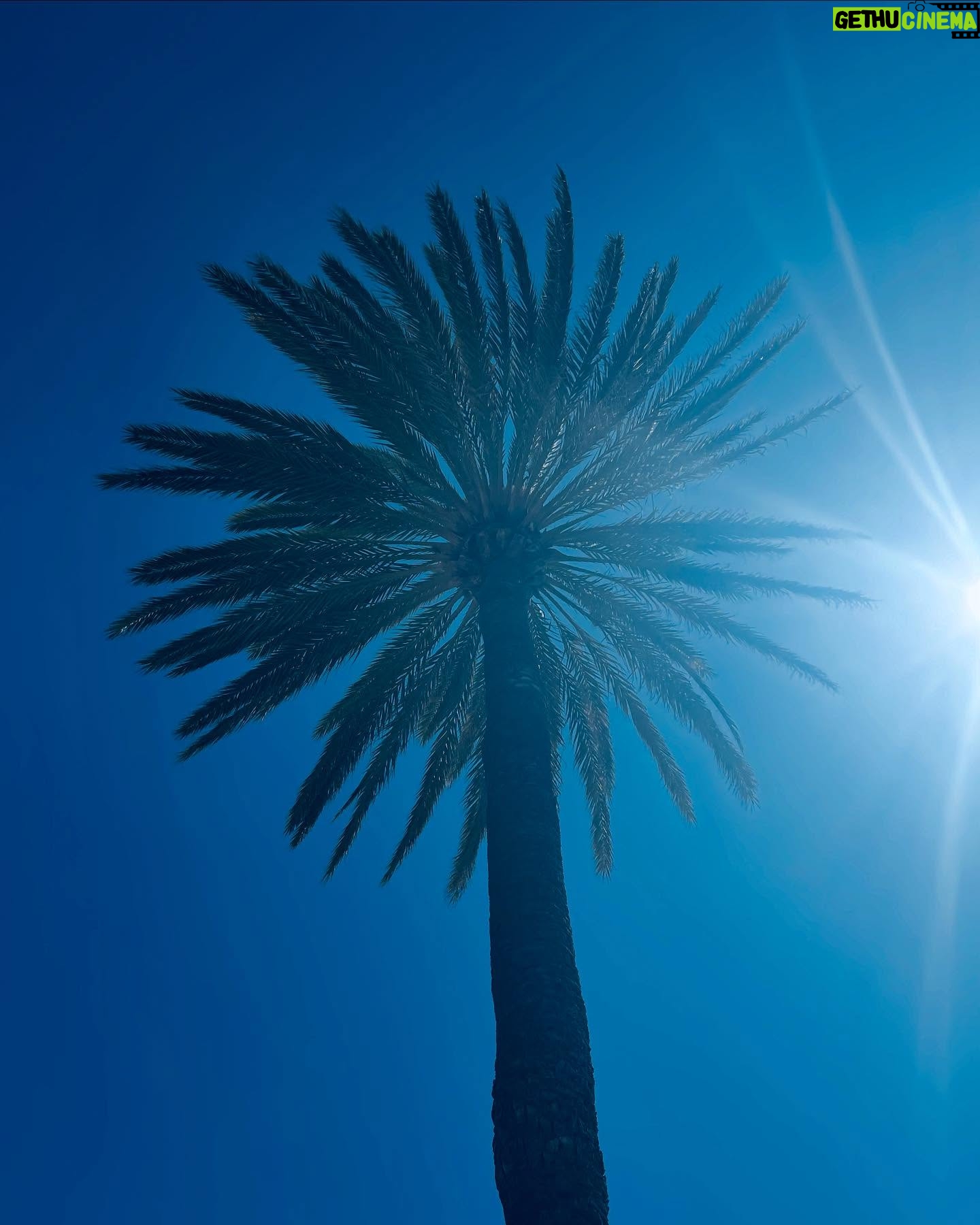 Rossy de Palma - 12.5K Likes - 💙🌴🥘