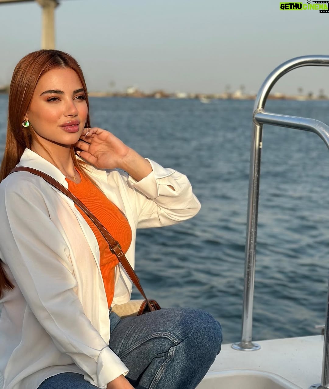 Rowida Shaheen - 135.8K Likes - وفي البصرة الفيحاء كل جراحنا تلم ومنها يقبل الفجر زاهيا💙#رويدةشاهين