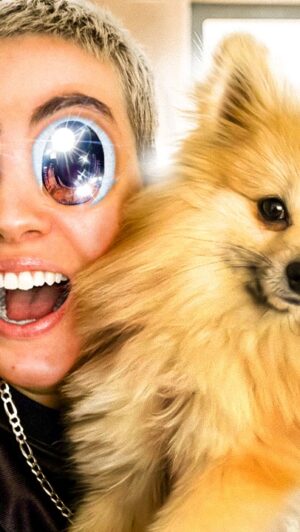 Roxane Bruneau Instagram - Nouveau vlog sur ma chaine youtube! 
J’ai trouvé l’amour à la @spcamontreal 

@ti.paul.bruneau aura été orphelin 15 minutes 

#vlog #teambruneau #brunoz #spca #dog #roxanebruneau