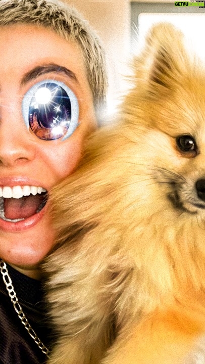 Roxane Bruneau - 9.2K Likes - Nouveau vlog sur ma chaine youtube!
J’ai trouvé l’amour à la @spcamontreal
@ti.paul.bruneau aura été orphelin 15 minutes
#vlog #teambruneau #brunoz #spca #dog #roxanebruneau