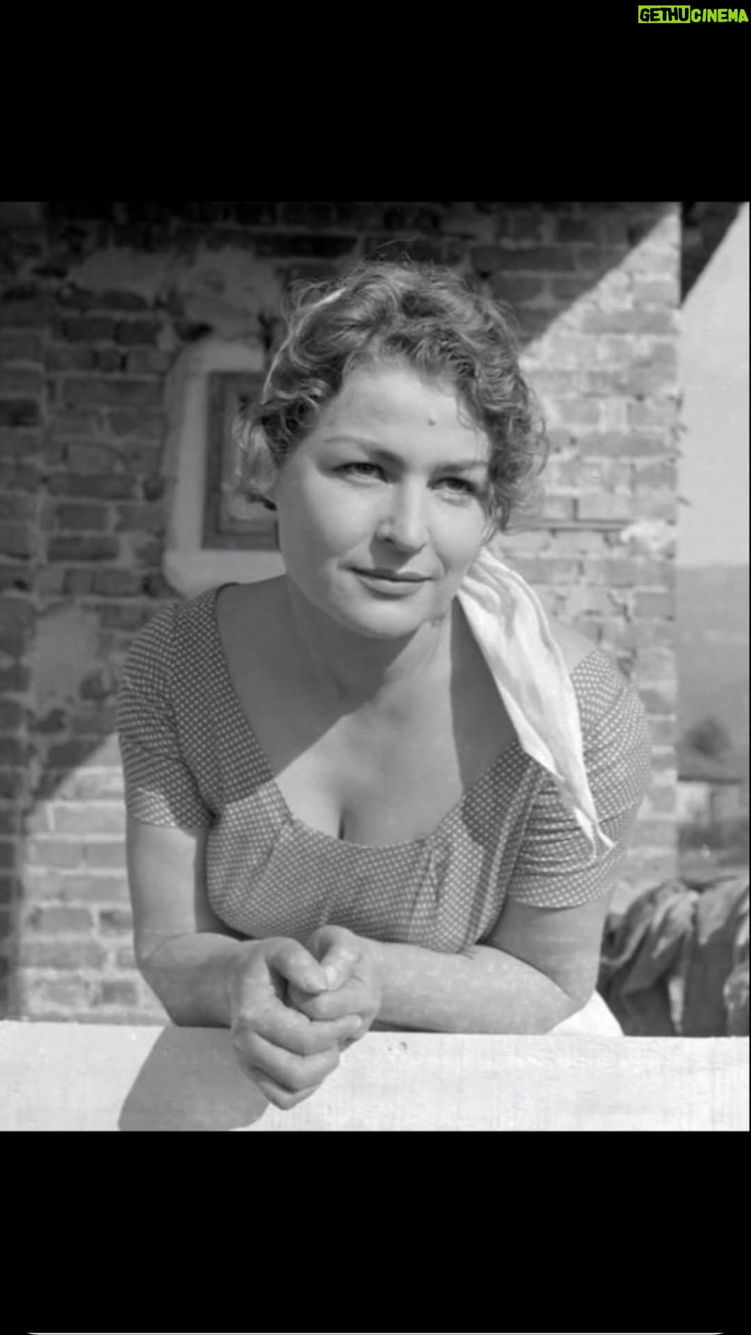Rozana Radi - 4.9K Likes - Njerezore, krenare dhe bujare deri në fund te diteve te saj , kjo eshte jeta e nje DIVE

Nje dive?Nje  artiste?Nje enderr popullore? Ndoshta, thjesht një grua që ka jetuar me dashuri jeten e saj, deri sa vendosi te thote lamtumirën e fundit.
Nuk eshte e bukur te humbesh papritur  nje margarite !
TI je Margarita me e bukur  e kopshteve tona, Margarita e emocioneve te medha, Margarita e loteve e buzeqeshjeve tona te diteve te jetuara, MARGARITA IME , MARGARITA e endrres sime artistike.
Zoti nuk donte te krijonte mbi toke shenjtorë të mëdhenj, por njerez te medhenj si ti MARGARITA .
E mira dhe e bukura MARGARITE ti do te celesh gjithmone ne oborrin e artit si lulja me e bukur e dashurise , te kam dashur e do te dua pafund sic edhe ti me deshe mua.
E di qe atje lart kur te takohesh me prinderit e mi do t’u tregosh atyre ato qe mua mi thoje gjithe dashuri … RRUGE TE MBARE NE SHKELQIMIN TEND MES YJEVE TE QIELLIT #divamargaritaxhepa