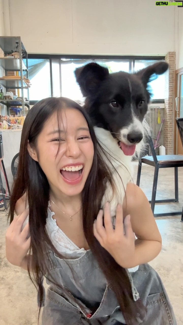 Rutricha Phapakithi - 143.1K Likes - 🤓🐶