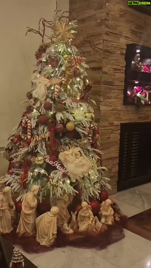 Sabine Nahas - 3.2K Likes - It's Christmas time again 🎄
It's the most wonderful time of the year❄️🎊☃️🤶
God 🙏 Peace on Earth🌎
#christmas_mood #christmas_time #decoration #peace