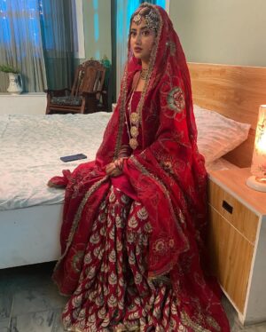 Sajal Ali Instagram - Aaj ka kya plan ? 
Outfit by my fav @zarashahjahanbride 
Jewellery @zarashahjahanbride