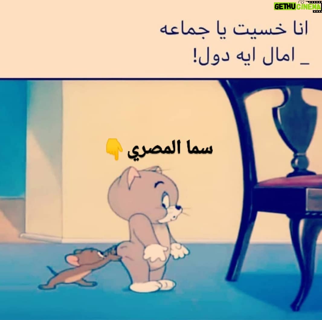 Sama El-Masry - 13.6K Likes - كده ع الصبح؟؟ 🙄🙄🙄🙄🙄🙄