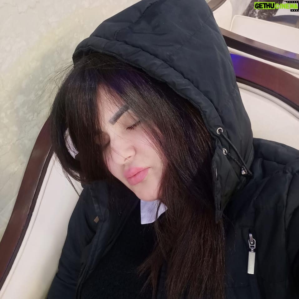 Sama El-Masry - 16.7K Likes - انا متجمده في القطب الشمالي دلوقتي...🙊🙊🙊
