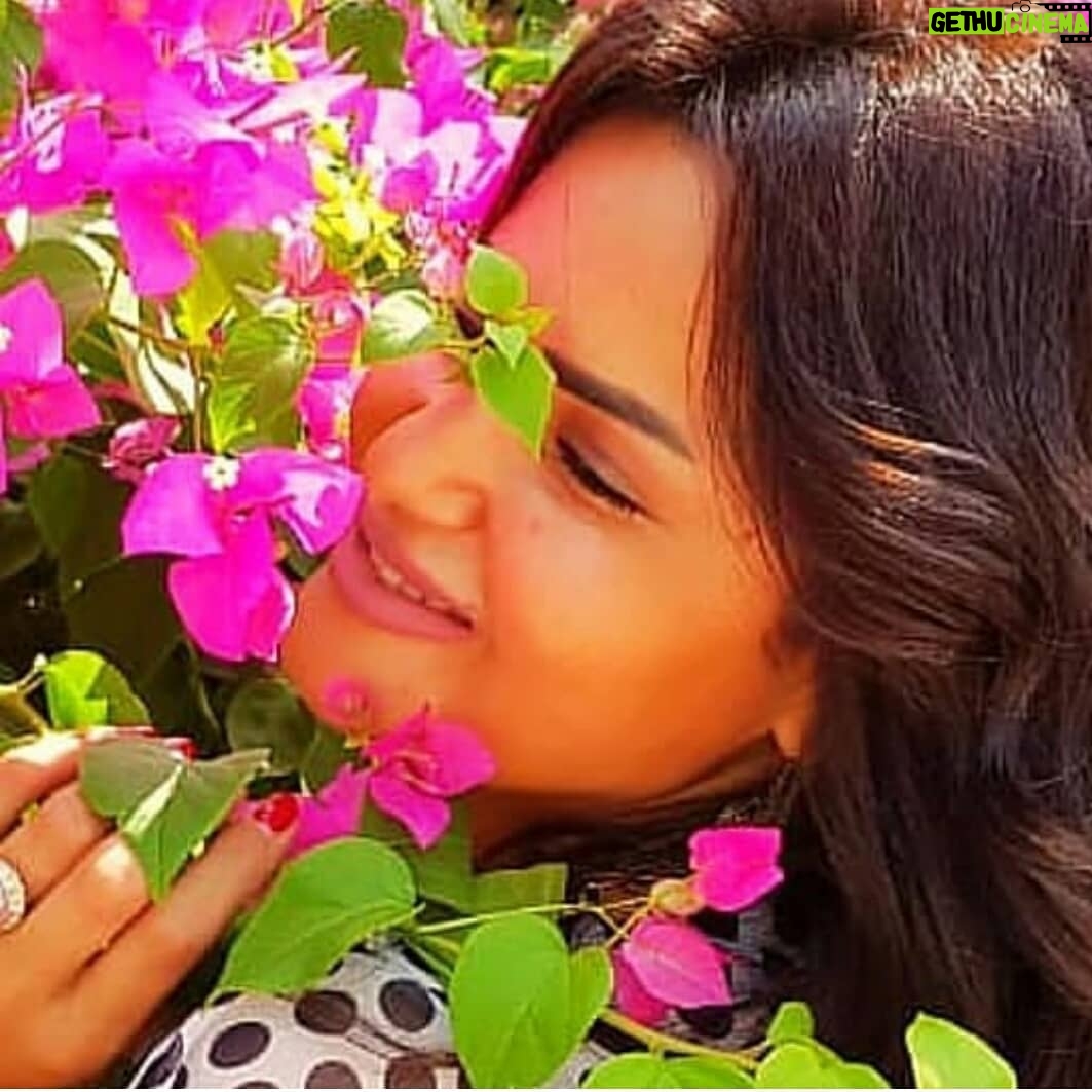 Sama El-Masry - 9.9K Likes - صباح الورد اللي فتح في جناين مصر...
فرفشوا كده ولا يهمكم كورونا ولا غيرها احنا شعب جامد بس التزموا البيت شويه وخلوا بالكم ...
احذروا ولا تخافوا....مصر حلوه وبكره تزول الغمه وماتتفرجوش علي اخبار عن الكرونا كتير هيجيلكوا اكتئاب والله ...انا جالي اكتئاب من كتر الاخبار دي
احذروا والتزموا البيت بس ماتقلقوش كله هيعدي
صباح العناااب ارحمي من العذااب😂😂😂