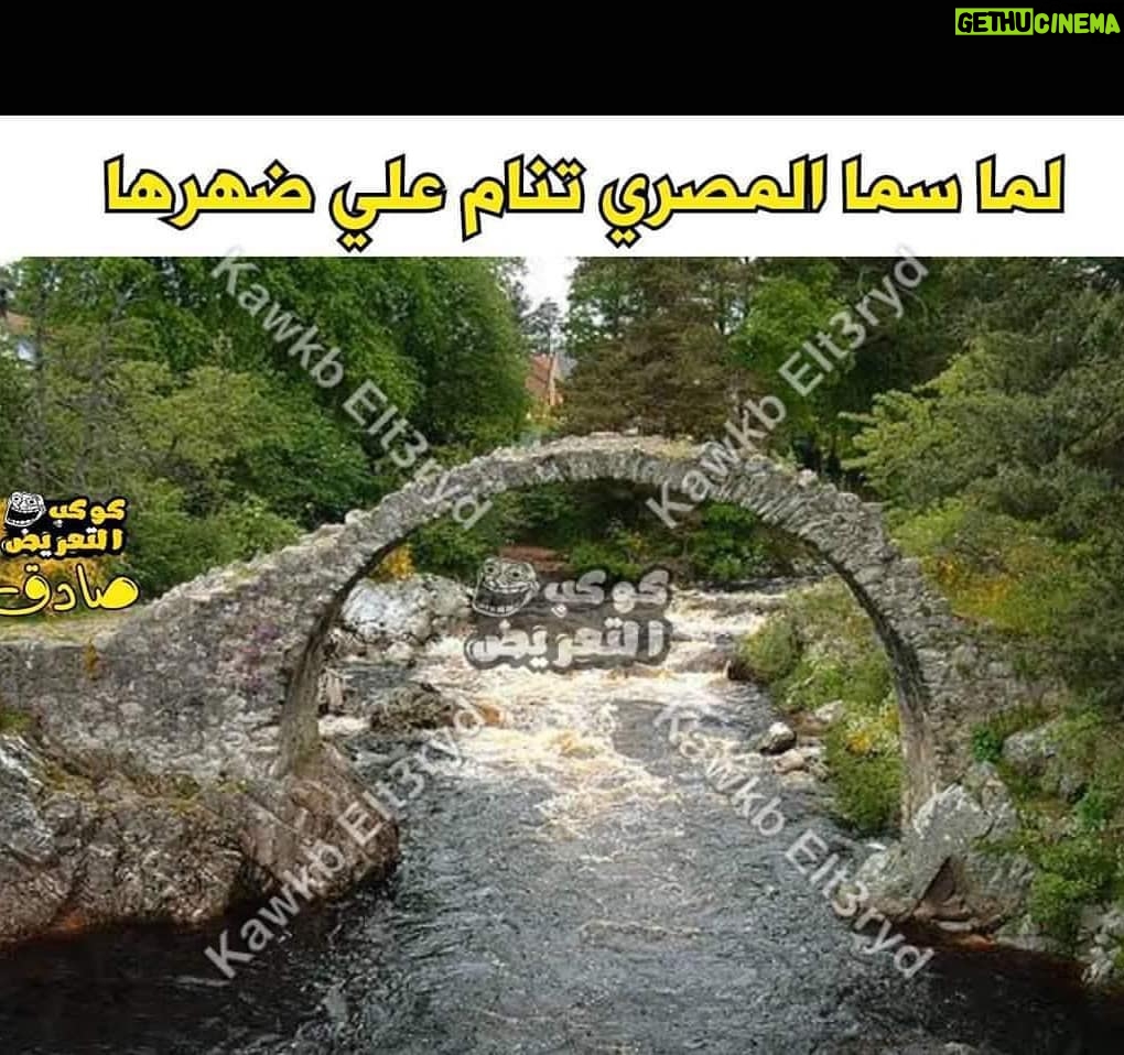 Sama El-Masry - 8.6K Likes - لا قصدك لما انام علي بطني 😂😂😂😂