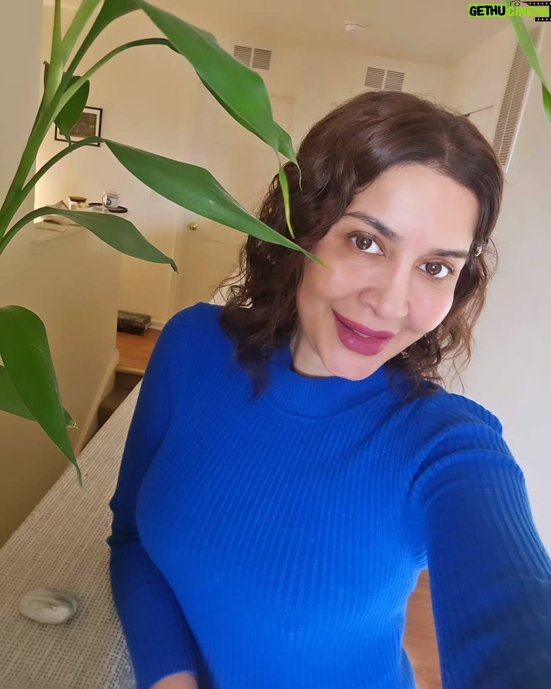 Saman Ansari - 509 Likes - And the Sunday went like this!
š š„ š³ šø
Believe and you shall receive.
#militaryspouse #breakfastclub #sweaterweather