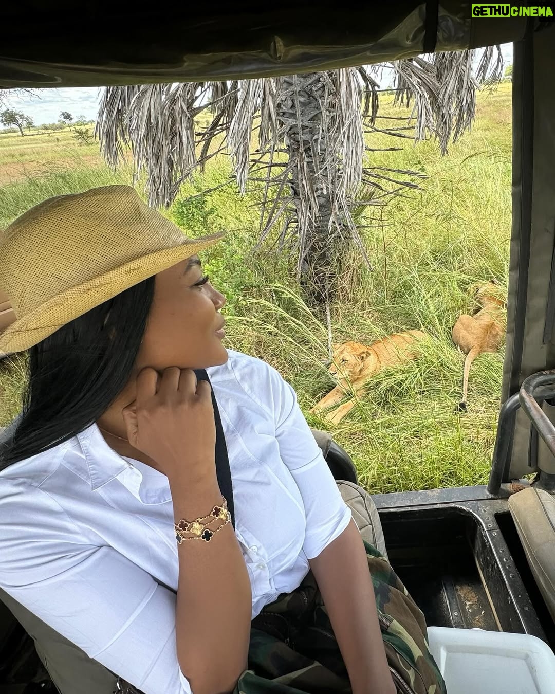 Sandra Ankobiah - 9.9K Likes - When I met the King of the jungle (and the other habitants)!