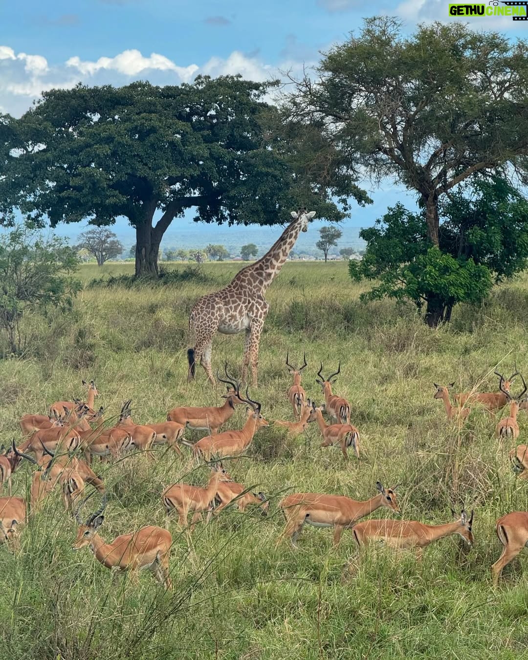 Sandra Ankobiah - 9.9K Likes - When I met the King of the jungle (and the other habitants)!