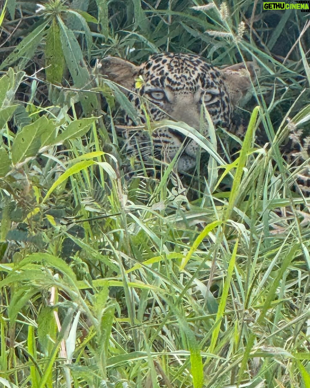 Sandra Ankobiah - 9.9K Likes - When I met the King of the jungle (and the other habitants)!