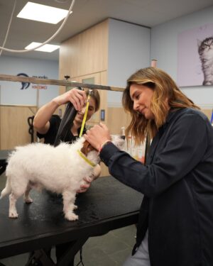 Sandra Barneda Instagram - Por fin ha llegado el buen tiempo así que lo primero que he hecho ha sido llevar a Leo a Mundo Belleza de @kiwoko 🐶 Lo han puesto guapo y le han realizado un tratamiento antiparasitario ✨ Es muy importante prevenirlo y tratarlo antes de que se convierta en un problema 🧼 Publi*