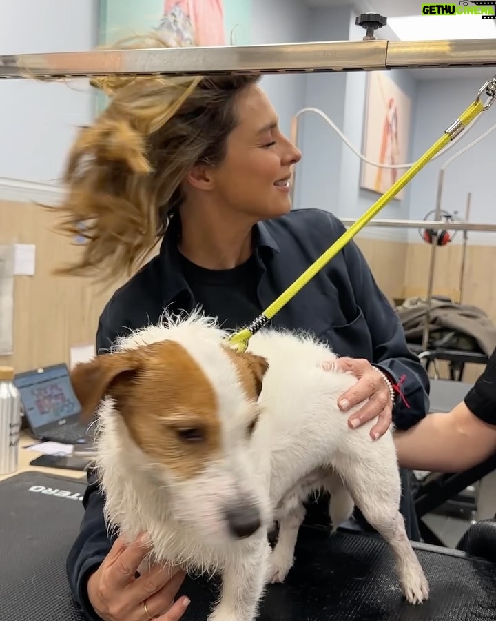 Sandra Barneda - 38.9K Likes - Por fin ha llegado el buen tiempo así que lo primero que he hecho ha sido llevar a Leo a Mundo Belleza de @kiwoko 🐶 Lo han puesto guapo y le han realizado un tratamiento antiparasitario ✨ Es muy importante prevenirlo y tratarlo antes de que se convierta en un problema 🧼 Publi*
