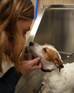 Sandra Barneda Instagram - Por fin ha llegado el buen tiempo así que lo primero que he hecho ha sido llevar a Leo a Mundo Belleza de @kiwoko 🐶 Lo han puesto guapo y le han realizado un tratamiento antiparasitario ✨ Es muy importante prevenirlo y tratarlo antes de que se convierta en un problema 🧼 Publi*