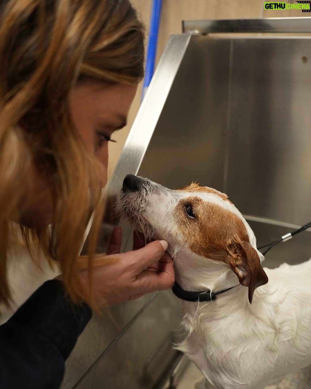 Sandra Barneda - 38.9K Likes - Por fin ha llegado el buen tiempo así que lo primero que he hecho ha sido llevar a Leo a Mundo Belleza de @kiwoko 🐶 Lo han puesto guapo y le han realizado un tratamiento antiparasitario ✨ Es muy importante prevenirlo y tratarlo antes de que se convierta en un problema 🧼 Publi*