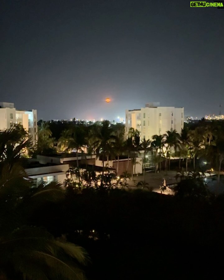 Sara Corrales - 64.7K Likes - Menciona a esa persona con la que quisieras hacer estos planes 🤩.
Remix de mis días en Acapulco:
1. Moraleja: No se salten el día de piernuki en el gym 😝.
2. Entre amigos y unos tequilas.
3. 🩵
4. Un país al que también amo.
5. Es que tengo a un buen fotógrafo de prometido.
6. Cheers 🥂
7. Luciendo el bikinazo de @muar_col (lo amo 🖤)
8. Me gustan los viajes en carretera y amo ser la dj encargada del playlist, me las bailo y canto todas 🥳.
9. Oigan, vieron esta luna roja? 😱
10. Muy 5:30 am camino al gym, incluso de viaje seguimos con la rutina 🏋🏽♀️.
Cuál foto o video te gustó más y por qué? Cuéntame!