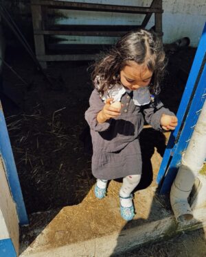 Sara Prata Instagram - Apaixonou-se por um gato ♥️ 
E que gatinho mais maravilhoso este, deixou fazer tudo. Era o seu bebé e só me fez lembrar quando eu era pequenina e que a minha grande amiga era a minha gatinha Balalaica, aiii o que eu fazia. E ontem foi igual, recuei uns quantos aninhos como diziam as minhas tias ao ver a doçura da Amélia ( vejam o vídeo final) Foi um dia tão feliz!! 
Claro que acabou por chorar no momento da despedida, mas percebeu que ele tinha de ficar na liberdade do campo, na sua casinha. 
Mas… aii só fala do gatinho, já estou a ver onde isto vai parar!
