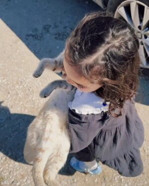 Sara Prata Instagram - Apaixonou-se por um gato ♥️ 
E que gatinho mais maravilhoso este, deixou fazer tudo. Era o seu bebé e só me fez lembrar quando eu era pequenina e que a minha grande amiga era a minha gatinha Balalaica, aiii o que eu fazia. E ontem foi igual, recuei uns quantos aninhos como diziam as minhas tias ao ver a doçura da Amélia ( vejam o vídeo final) Foi um dia tão feliz!! 
Claro que acabou por chorar no momento da despedida, mas percebeu que ele tinha de ficar na liberdade do campo, na sua casinha. 
Mas… aii só fala do gatinho, já estou a ver onde isto vai parar!