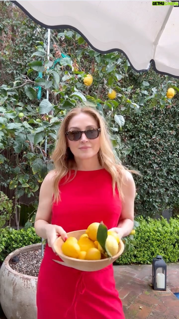 Sasha Alexander - 5.9K Likes - Lemons 🍋