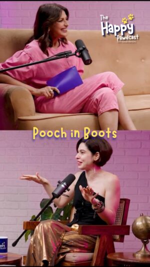 Scherezade Shroff Instagram - That awkward “moonwalk” they do when the shoes go on… 😅
Got a similar story? Drop it below and let’s share a laugh! 🐾

Watch The Happy Pawdcast episode one now on YouTube / RosePod
Click the link in bio 🔗 

Logo Design - @yourpegboard

Brand & Creative Strategy - @rosepodindia & @yourpegboard

Scriptwriting - @rosepodindia & @yourpegboard
